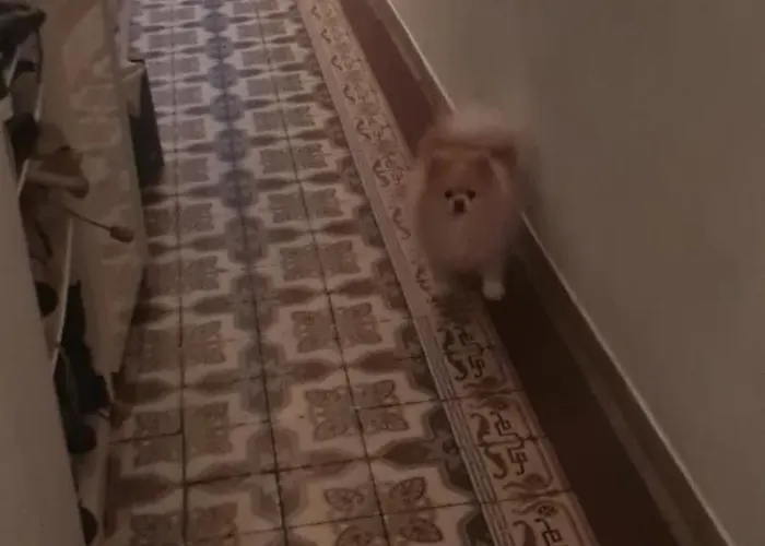 Möblierte Souterrainwohnung Mit 2 Schlafzimmern Und Garten Apartment